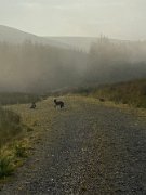 IMG_8284