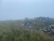 IMG_8286