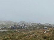 IMG_8291