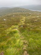 IMG_8293