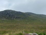 IMG_8297