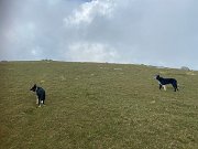 IMG_8303